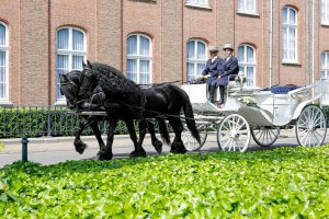 ‘ Friesenhof Bries – koetsenverhuur